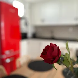  Apartamento Adeva Centrico 3